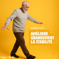 Exercices d'Équilibre pour Seniors (E-Book)